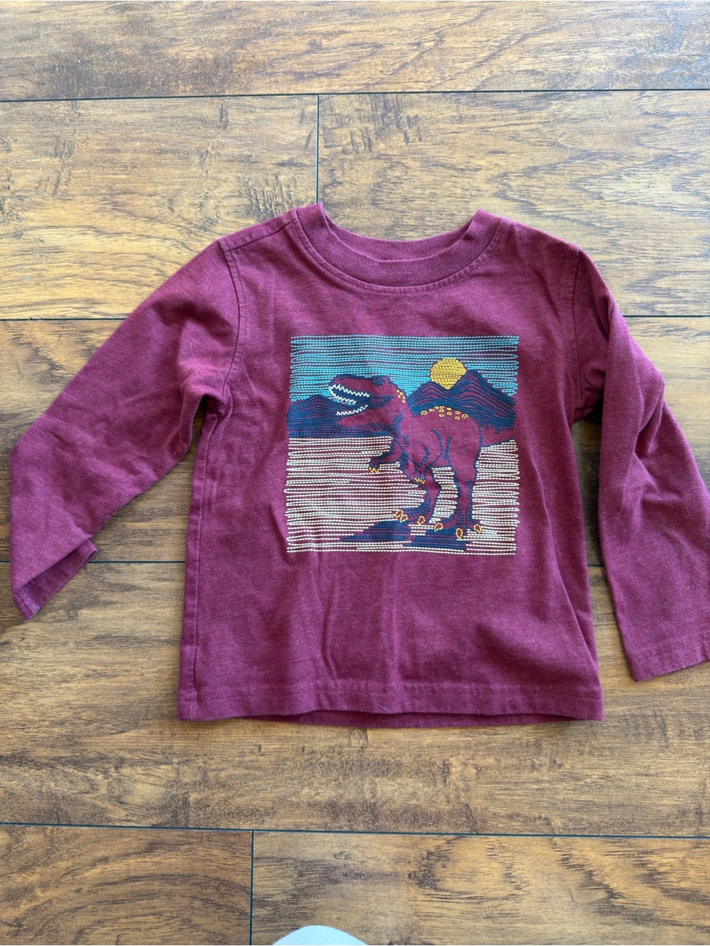 Kids Headquarters Maroon Long-Sleeve Dinosaur Graphic Tee